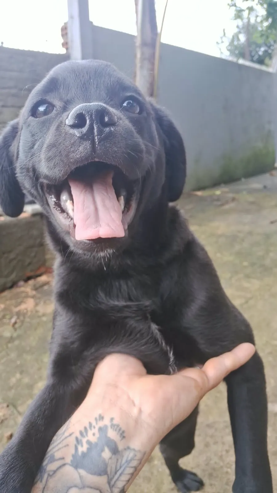 Foto de Pérola