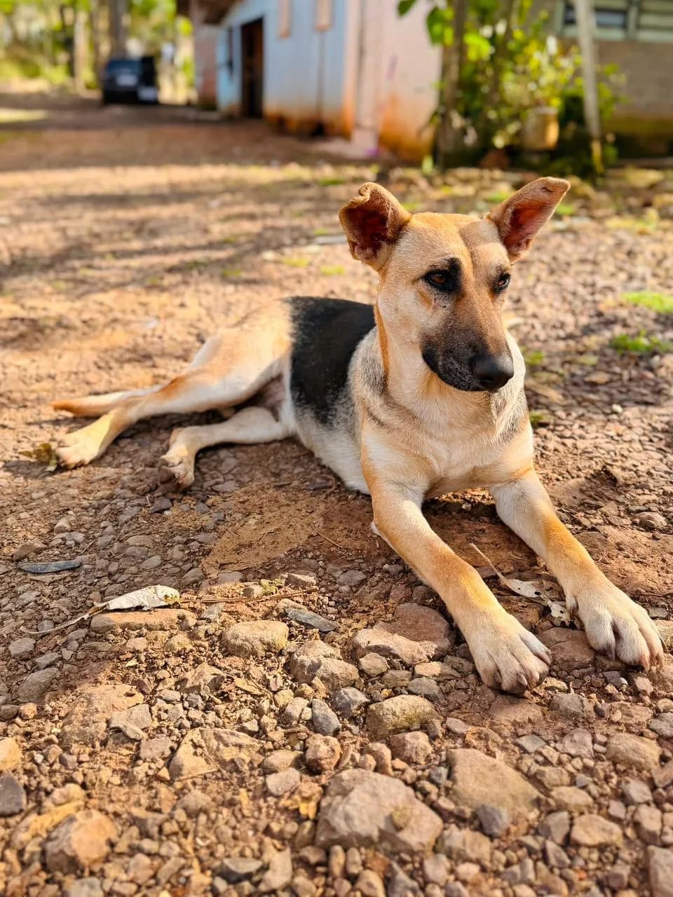 Foto de Belinha