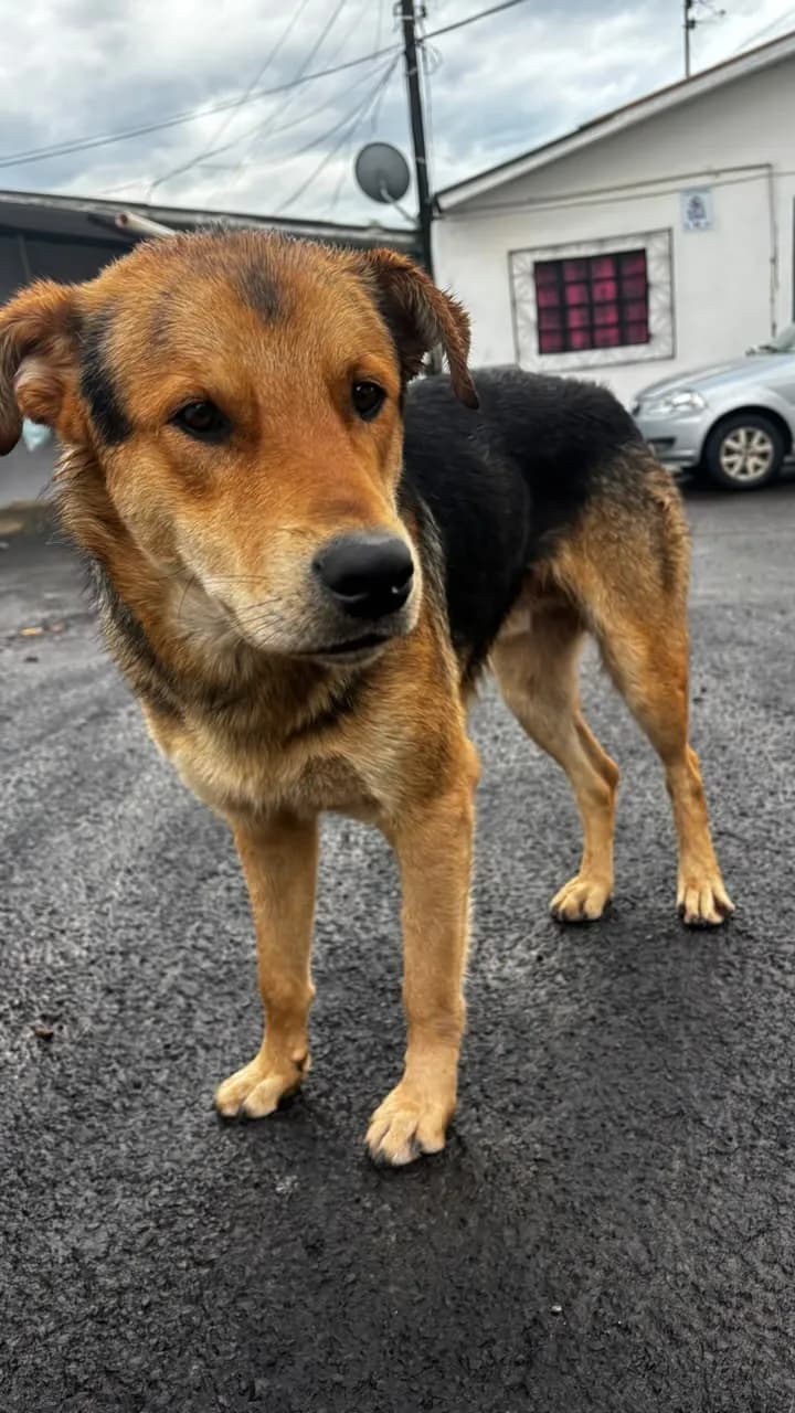 Foto de Bruno