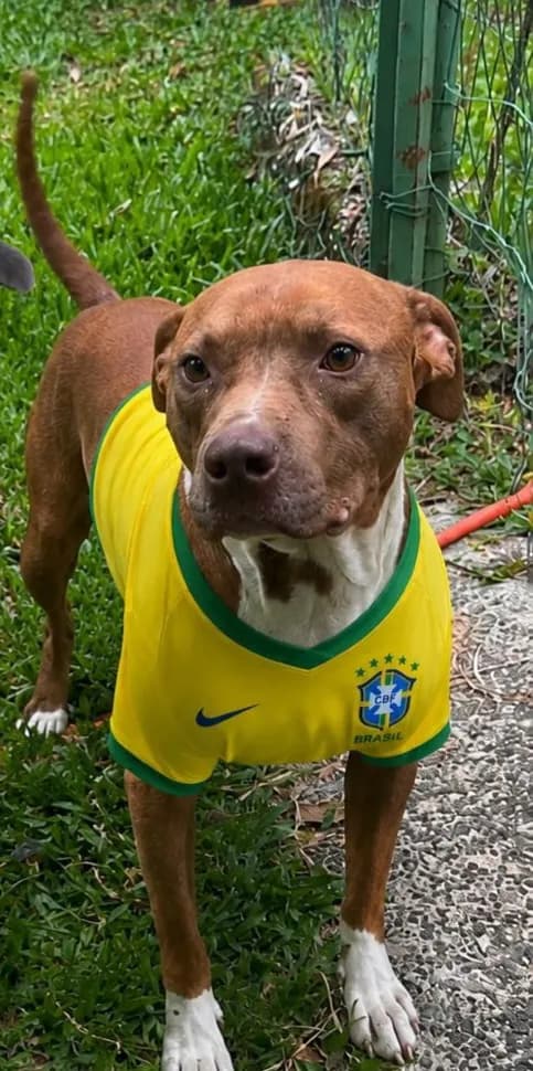 Foto de Amigo